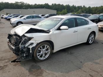  Salvage Nissan Maxima