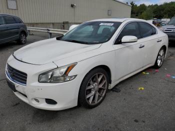  Salvage Nissan Maxima