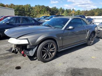  Salvage Ford Mustang