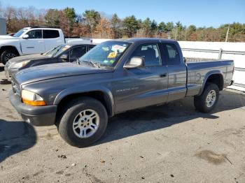  Salvage Dodge Dakota