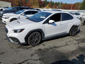  Salvage Subaru WRX