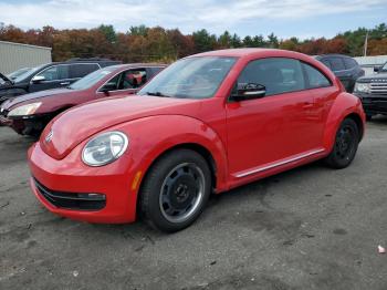  Salvage Volkswagen Beetle