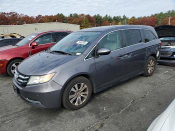  Salvage Honda Odyssey