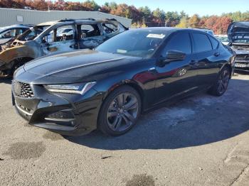  Salvage Acura TLX