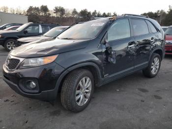  Salvage Kia Sorento