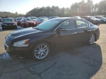  Salvage Nissan Maxima