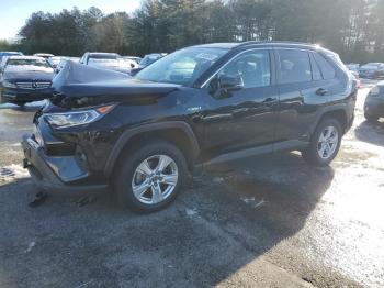  Salvage Toyota RAV4