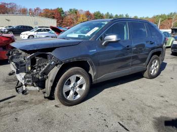  Salvage Toyota RAV4