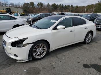  Salvage Nissan Maxima