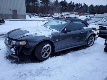  Salvage Ford Mustang