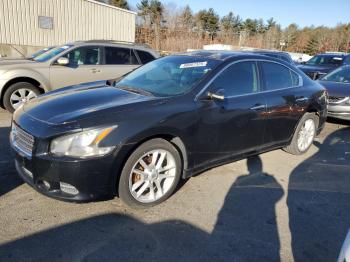  Salvage Nissan Maxima