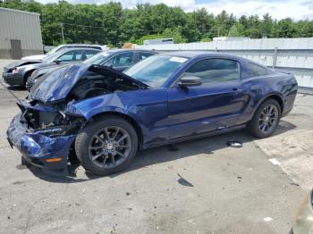  Salvage Ford Mustang