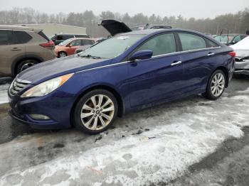  Salvage Hyundai SONATA