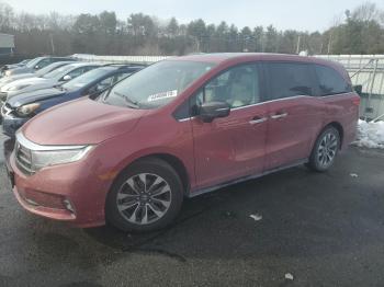  Salvage Honda Odyssey