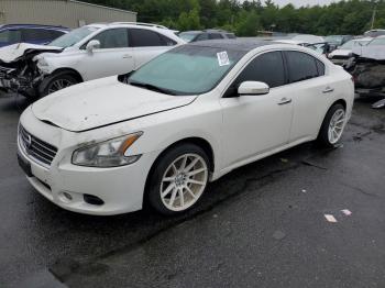  Salvage Nissan Maxima