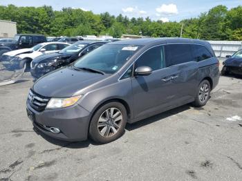  Salvage Honda Odyssey