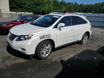  Salvage Lexus RX