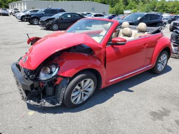  Salvage Volkswagen Beetle