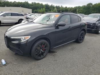  Salvage Alfa Romeo Stelvio