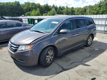  Salvage Honda Odyssey