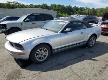  Salvage Ford Mustang