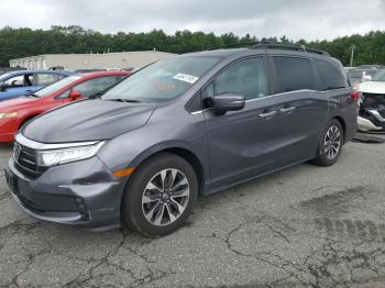  Salvage Honda Odyssey