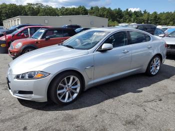  Salvage Jaguar XF