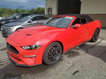  Salvage Ford Mustang