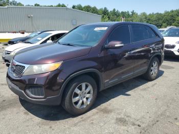  Salvage Kia Sorento