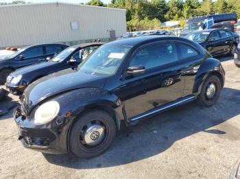  Salvage Volkswagen Beetle