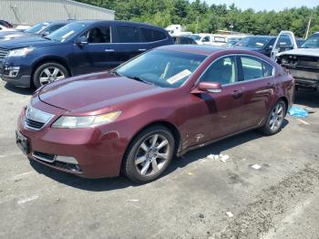  Salvage Acura TL