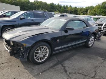  Salvage Ford Mustang