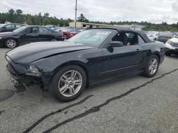  Salvage Ford Mustang
