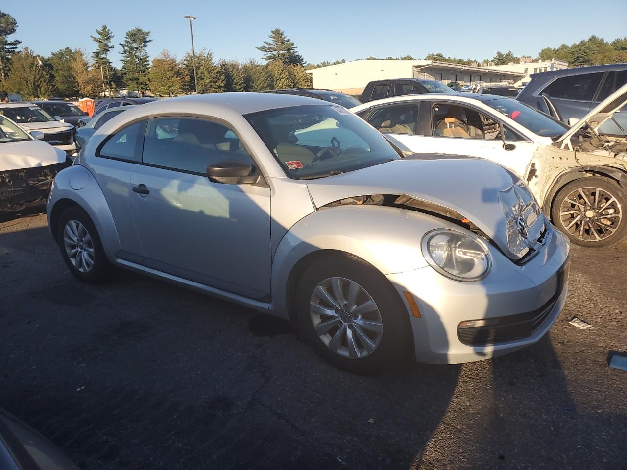 Volkswagen Beetle Image 5