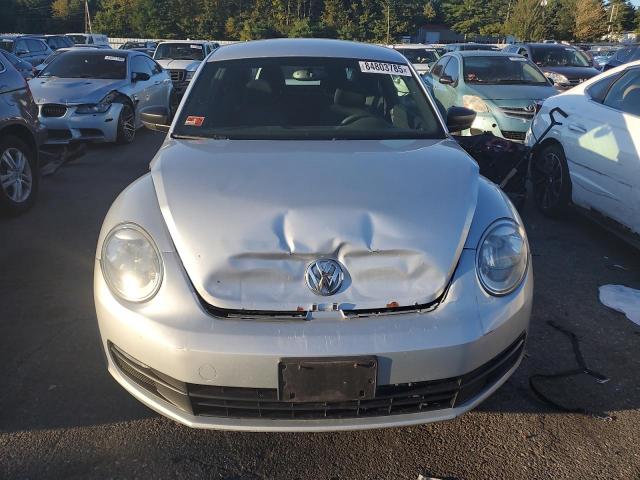 Volkswagen Beetle Image 3