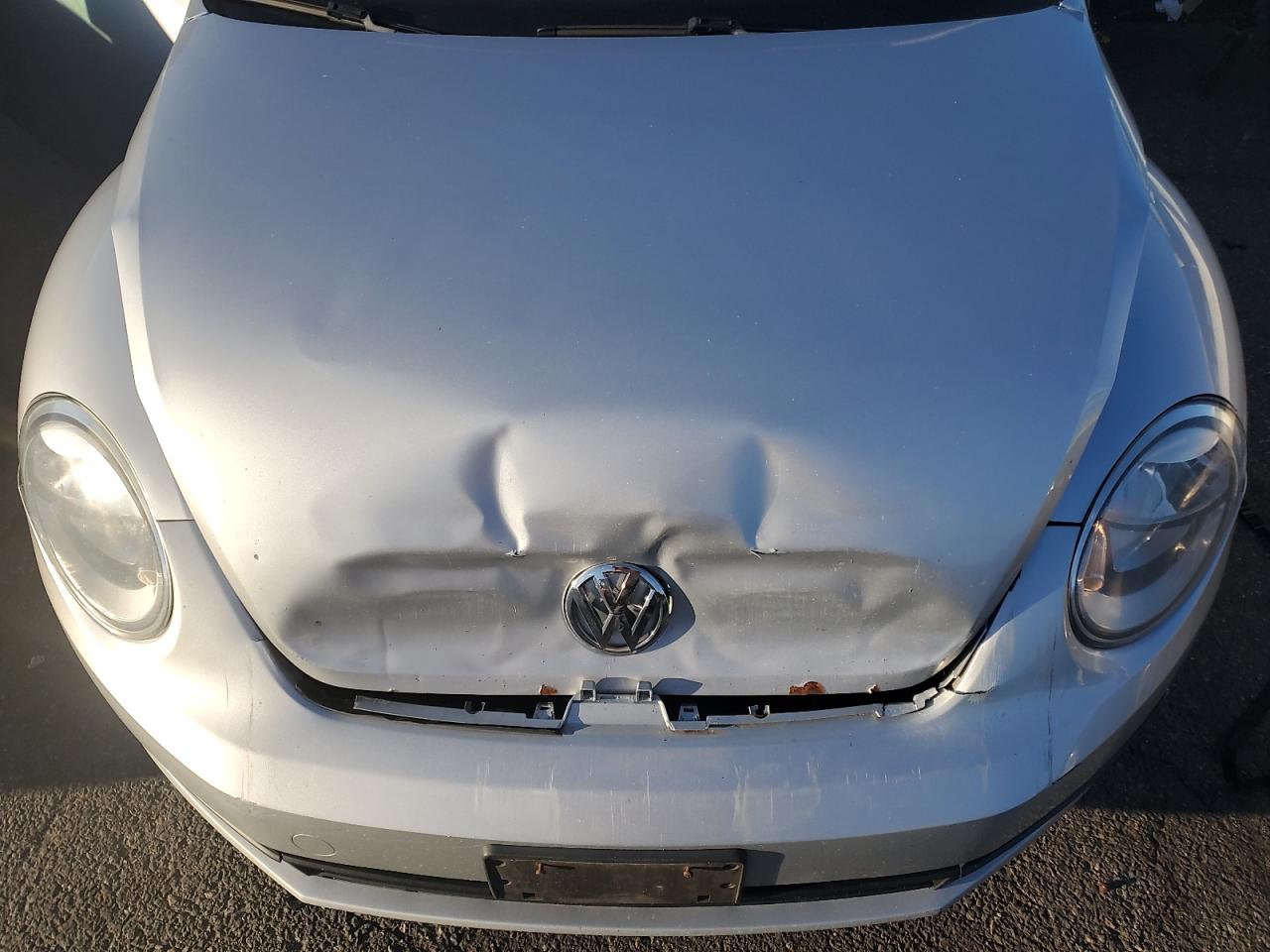 Volkswagen Beetle Image 10