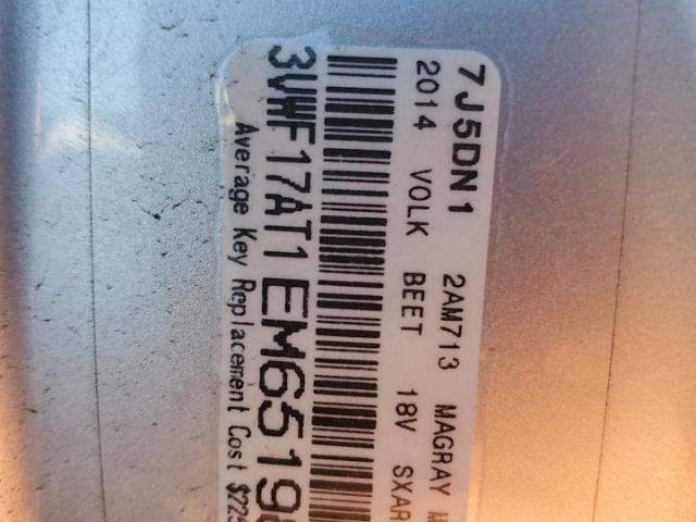 Volkswagen Beetle Image 8