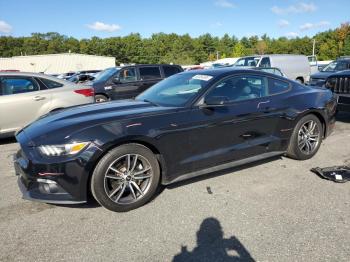  Salvage Ford Mustang