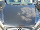 Volkswagen Passat S Image 12