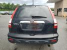 Honda Crv Exl Image 4