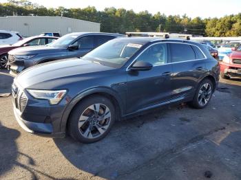  Salvage Audi e-tron
