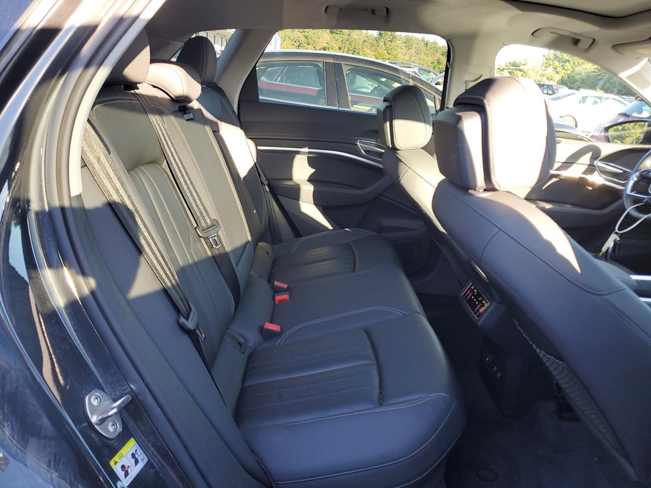 Audi e-tron Premium Image 12