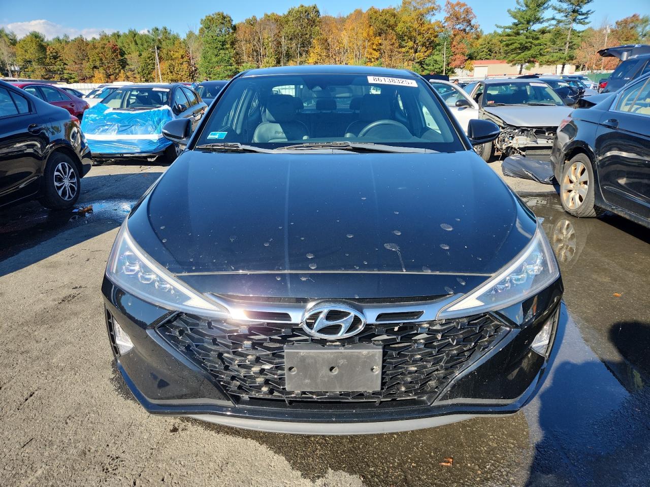 Hyundai ELANTRA Sport Image 11