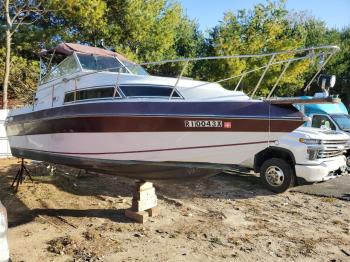  Salvage Celebrity Bowride