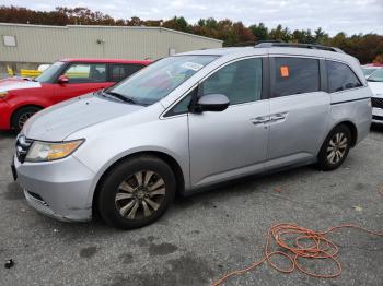  Salvage Honda Odyssey