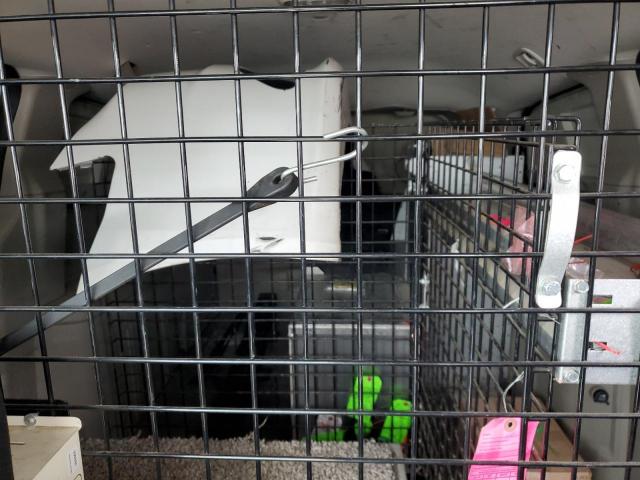 Ram Tradesman Image 8