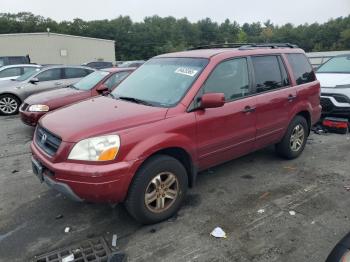  Salvage Honda Pilot