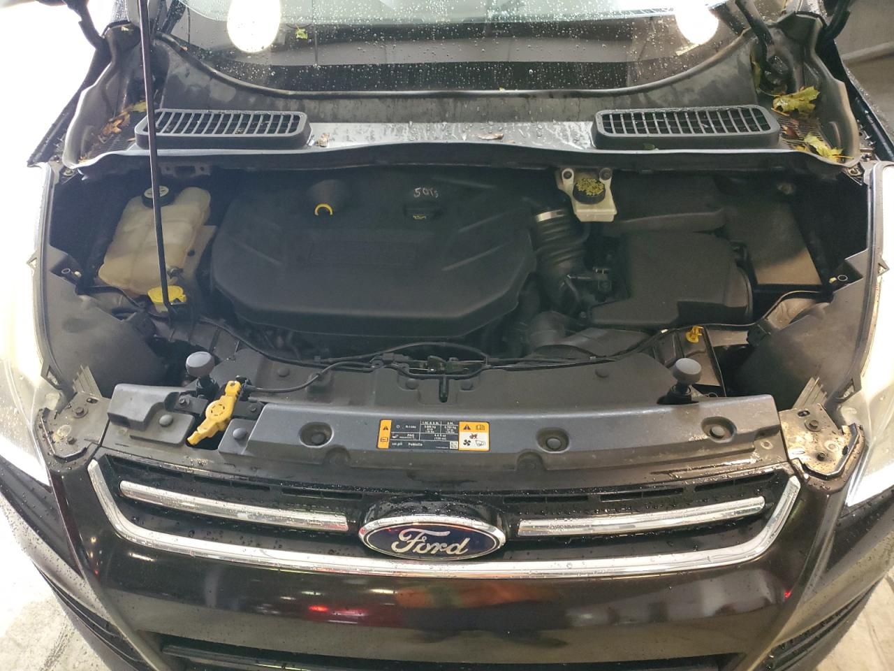 Ford Escape Titanium Image 10