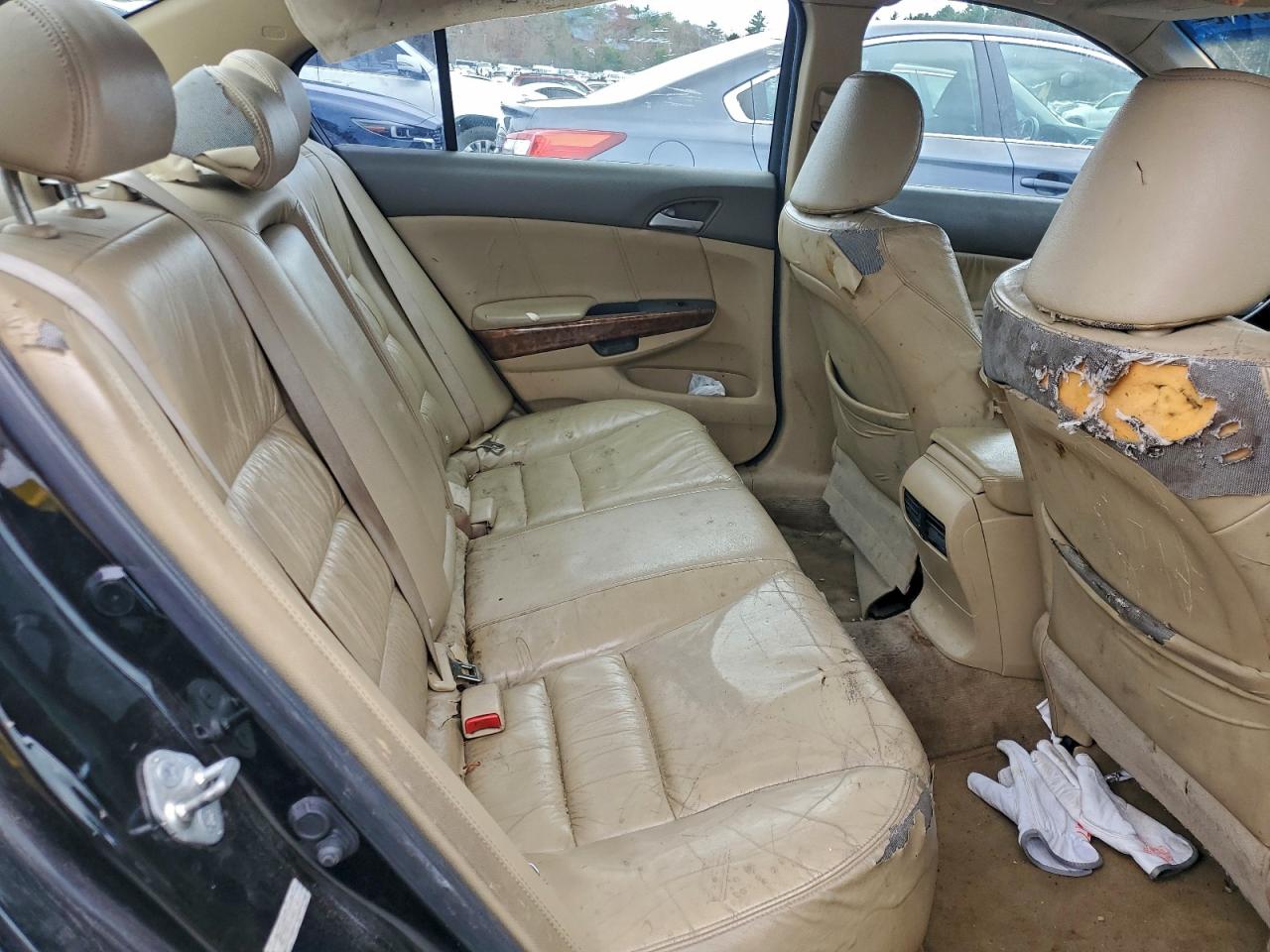 Honda Accord Exl Image 11