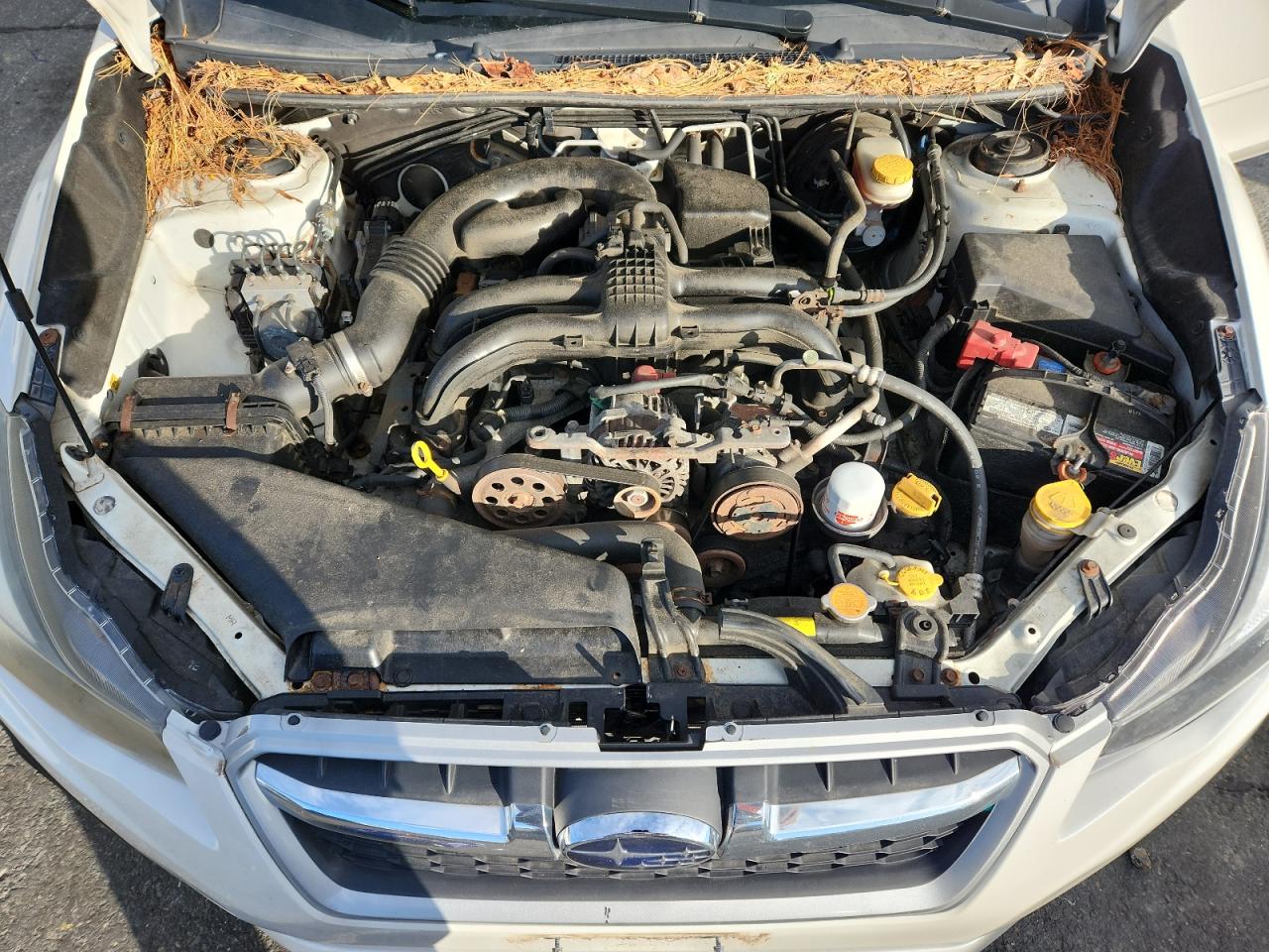 Subaru Impreza Premium Image 6